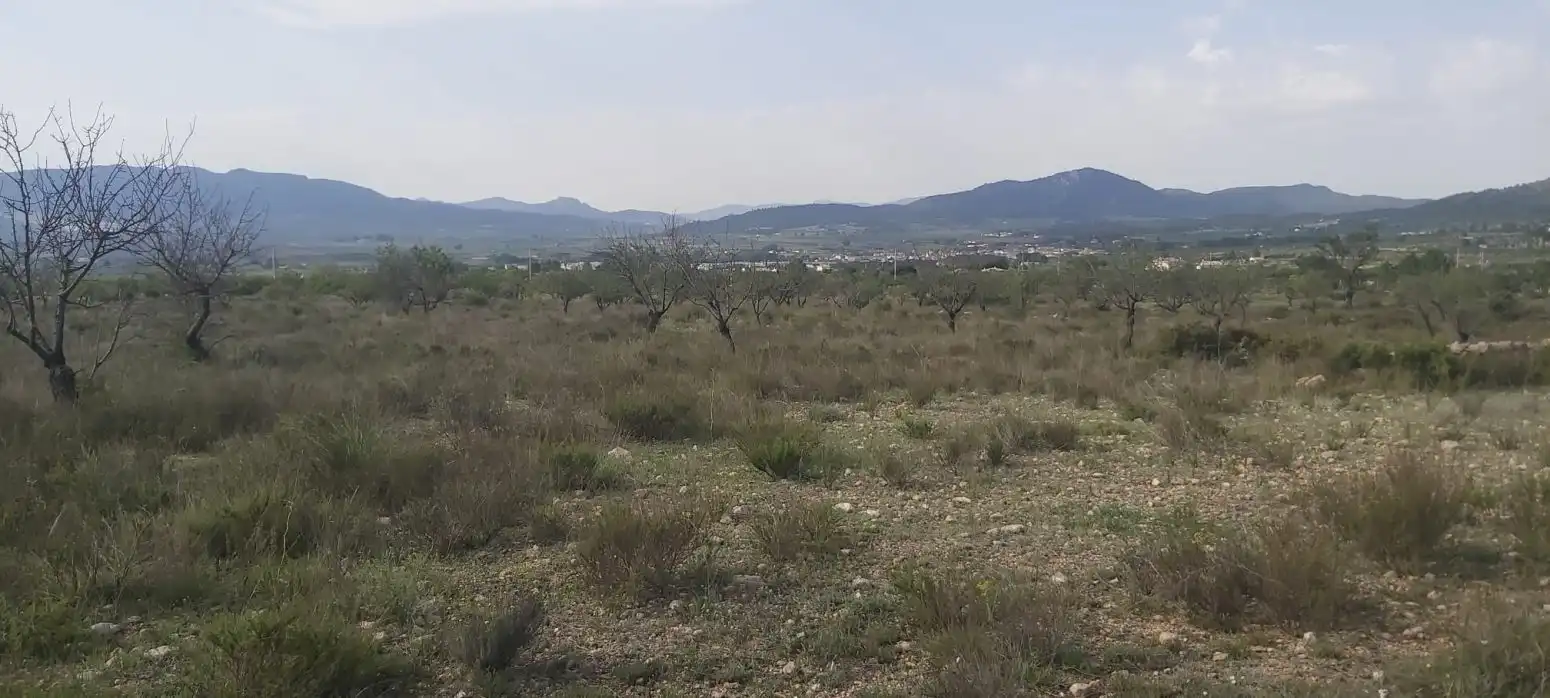 Rustikales Grundstück zum Verkauf in Partida PAN ROYO