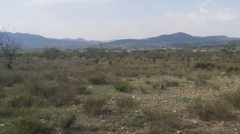 Finca rústica en Salinas