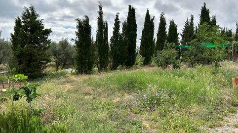 Foto 2 de Finca rústica en venda a Villanueva del Rey, Córdoba