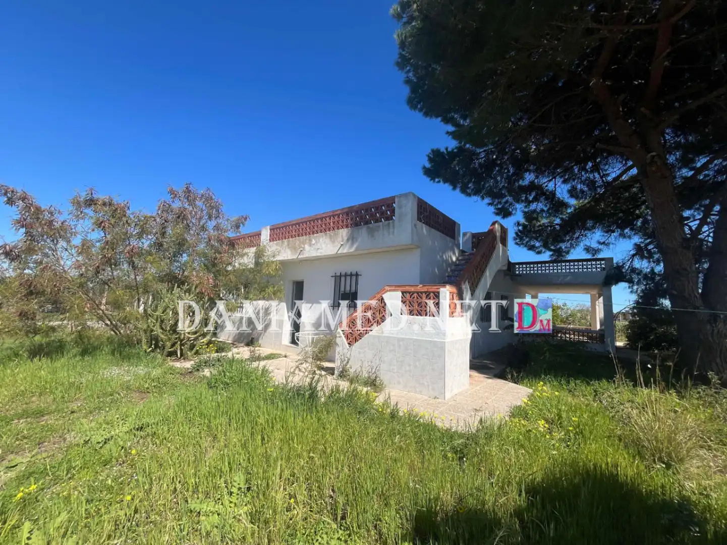 Vista exterior de Finca rústica en venda en Oliva amb Jardí privat, Terrassa i Traster