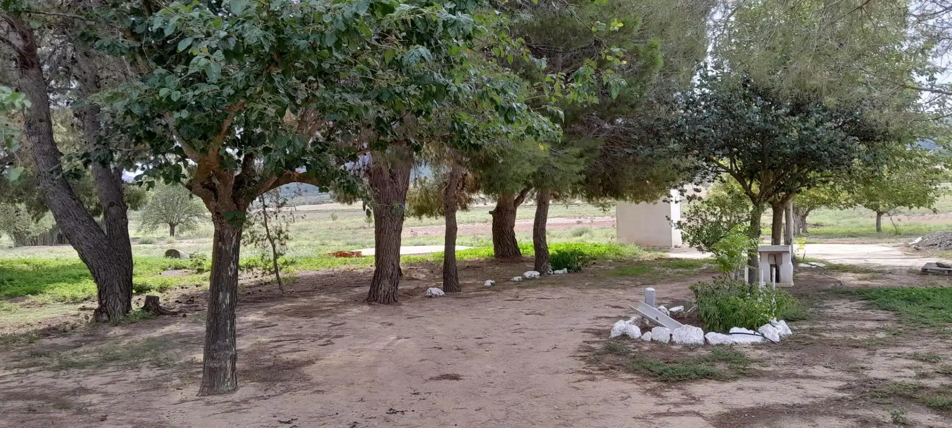 Casa o xalet en venda en Yecla amb Jardí privat i Moblat