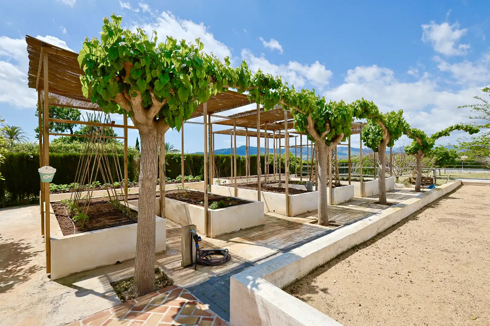 Jardín de Casa o chalet en venta en Jávea / Xàbia