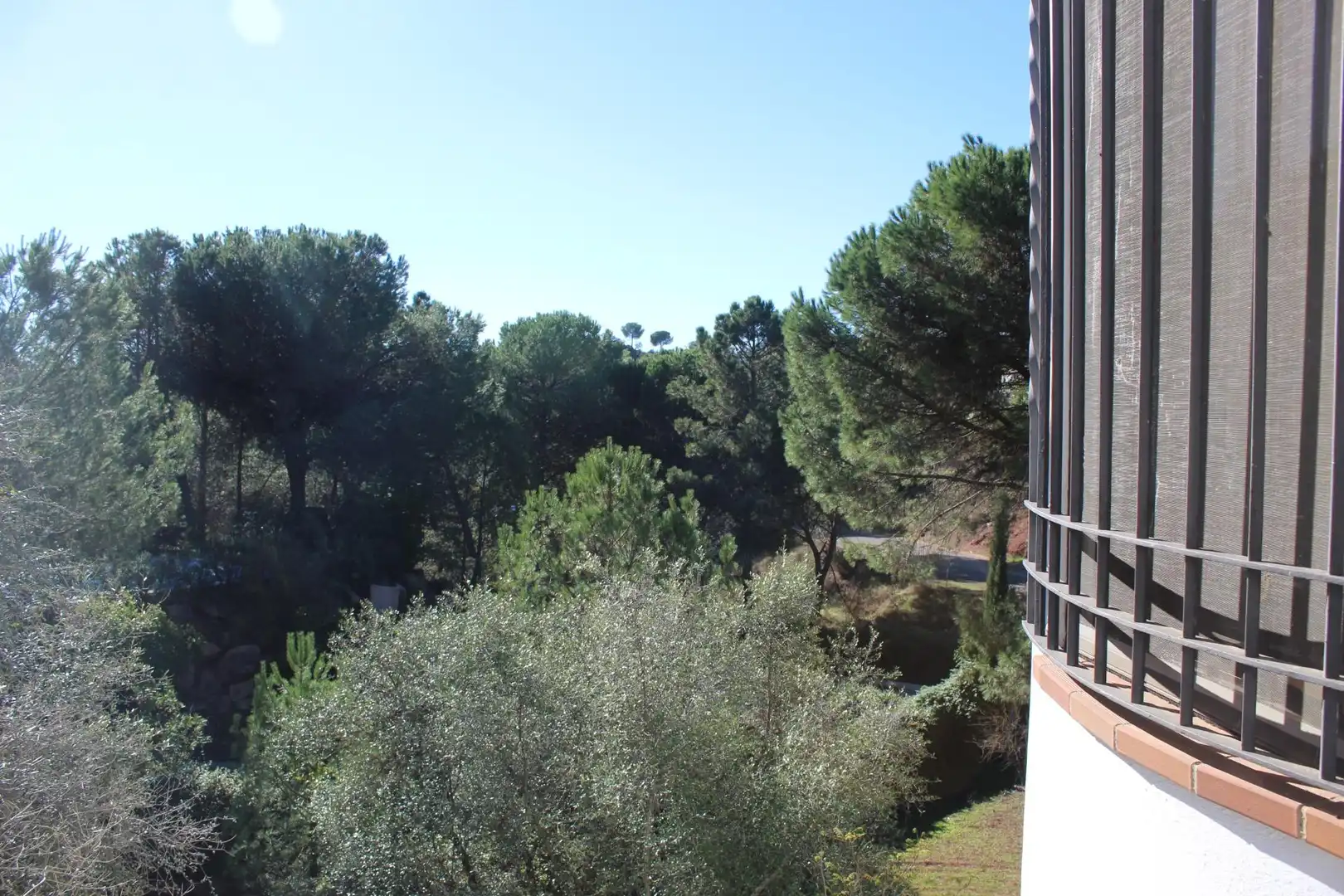 Jardí de Casa o xalet en venda en Córdoba amb Aire condicionat, Jardí privat i Terrassa
