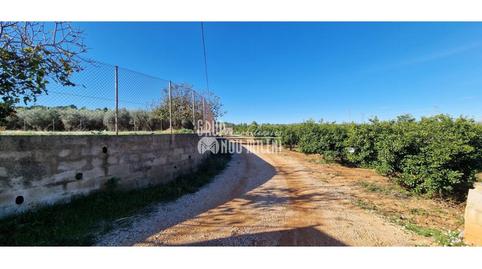 Foto 4 de Finca rústica en venta en Els Blasques, Turís, Valencia