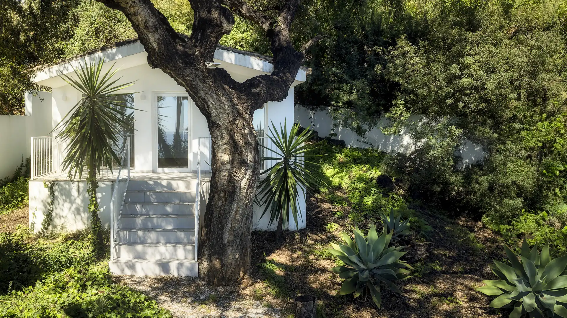 Jardín de Casa o chalet en venta en Marbella con Jardín privado y Piscina