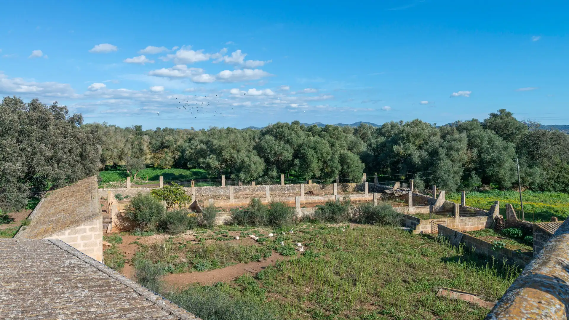 Finca rústica en venta en Vilafranca de Bonany con Terraza, Trastero y Balcón