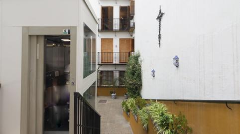 Photo 3 of Flat to rent in San Jorge, Triana Casco Antiguo, Sevilla