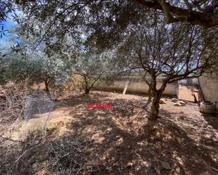 Garage for sale in Fuente Obejuna