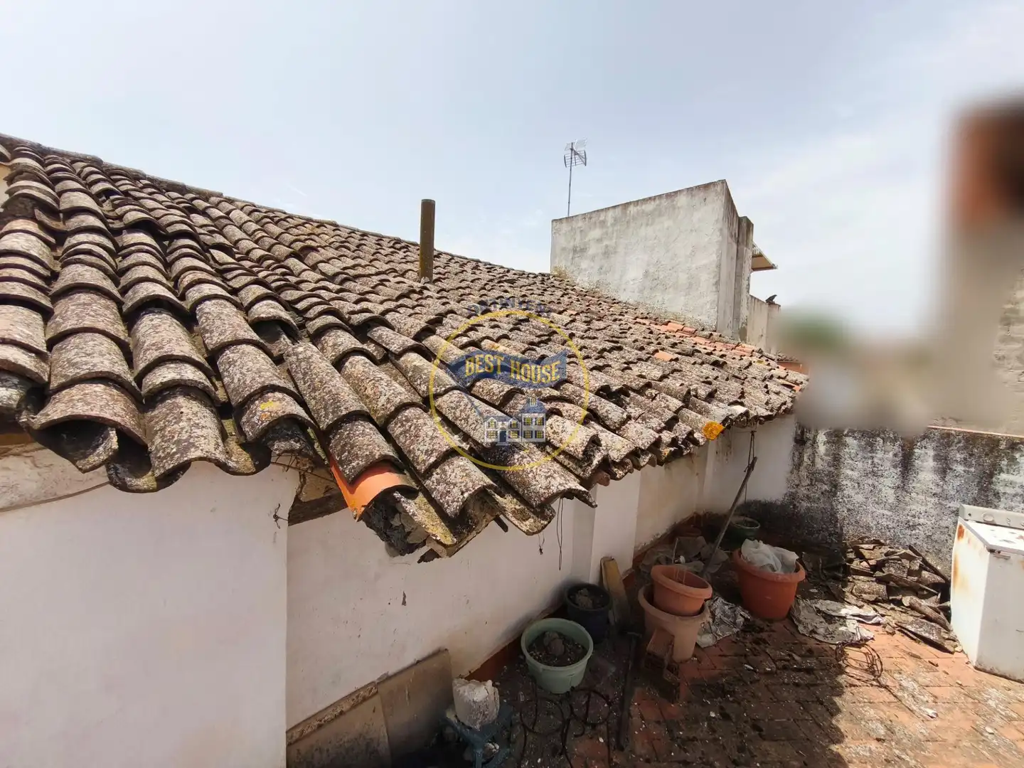 Vista exterior de Casa o xalet en venda en Albaida amb Terrassa
