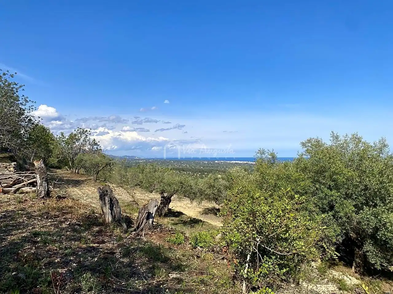Terreno rustico in vendita a Puig Moltó, imagen 14