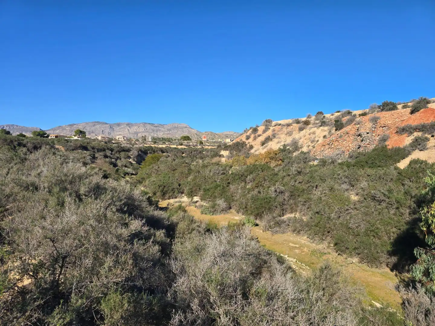 Industrial land for sale in Crevillent, imagen 15