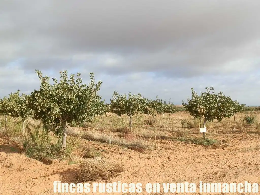 Terreni e lotti in vendita a Las Mesas
