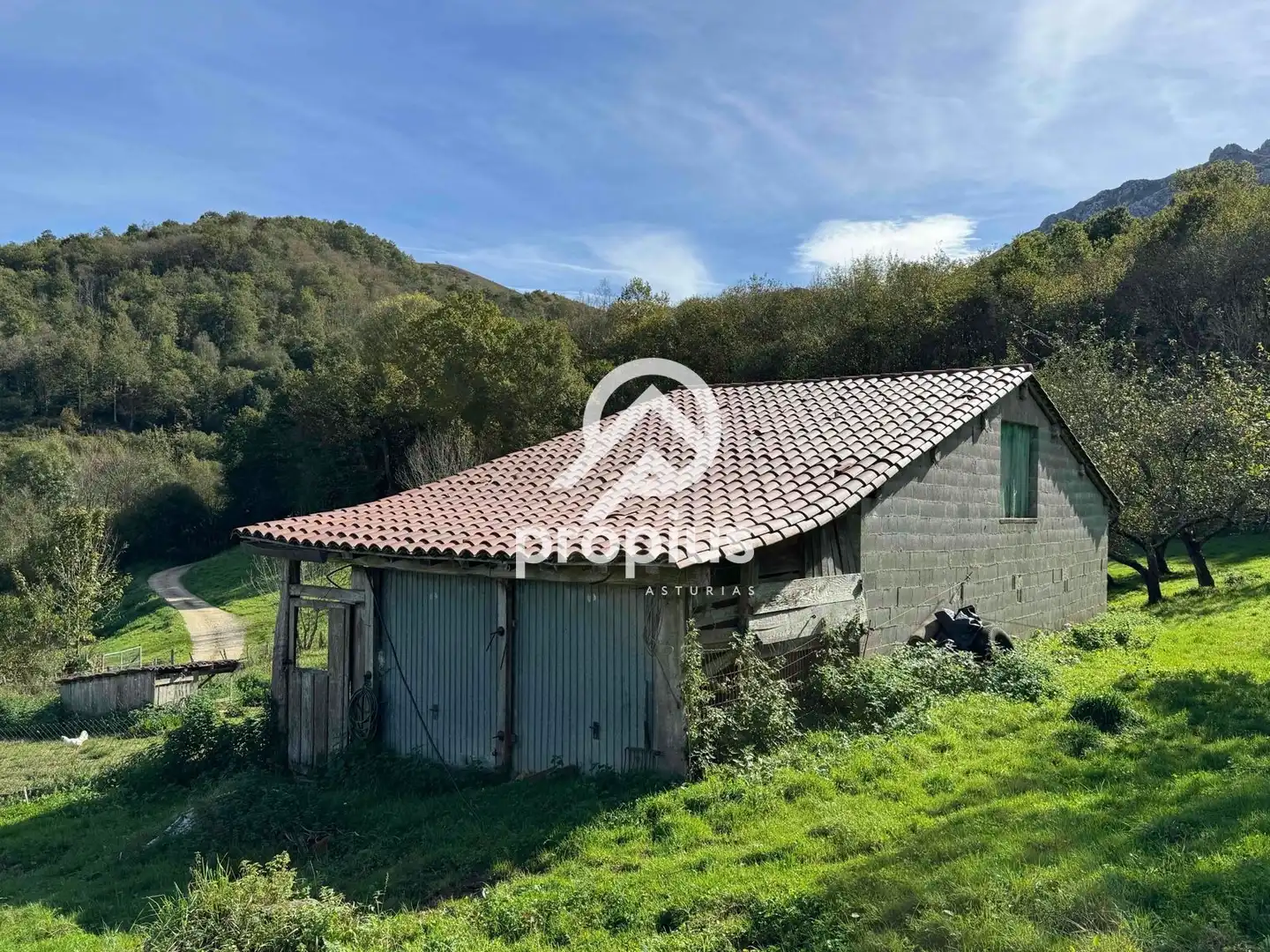 Rural land for sale in Inguanzo, imagen 11