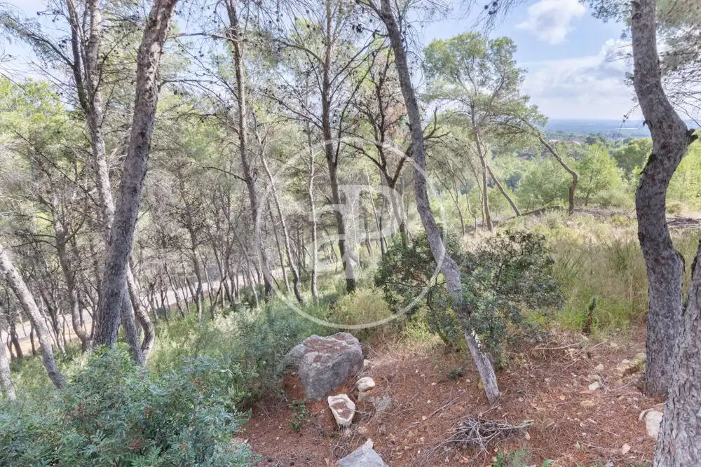 Terreno residenziale in vendita a El Bosque, imagen 17