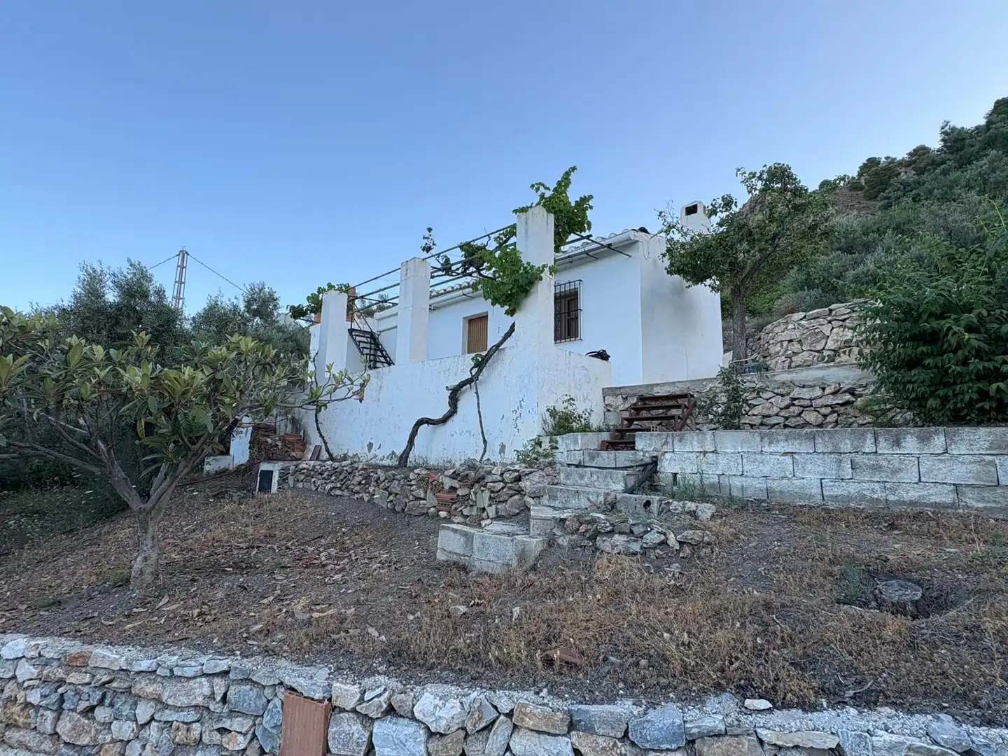 Vista exterior de Finca rústica en venda en Frigiliana amb Terrassa, Traster i Forn