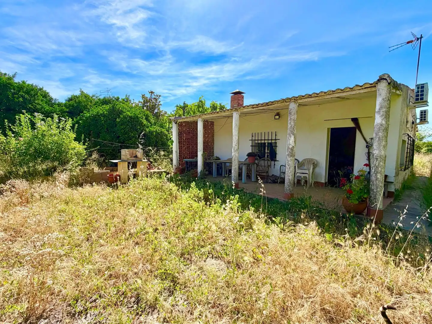 Jardín de Casa o chalet en venta en Puebla de la Calzada con Jardín privado y Piscina