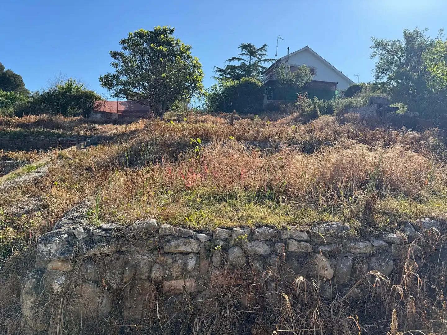 Terreno rustico in vendita a Piera