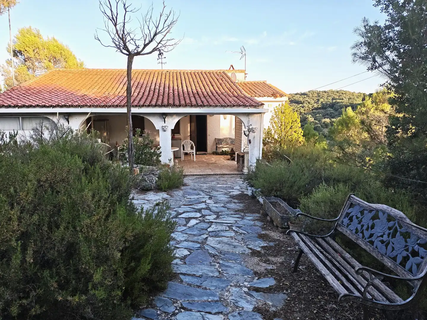 Jardín de Casa o chalet en venta en Perales de Tajuña con Jardín privado, Piscina y Alarma