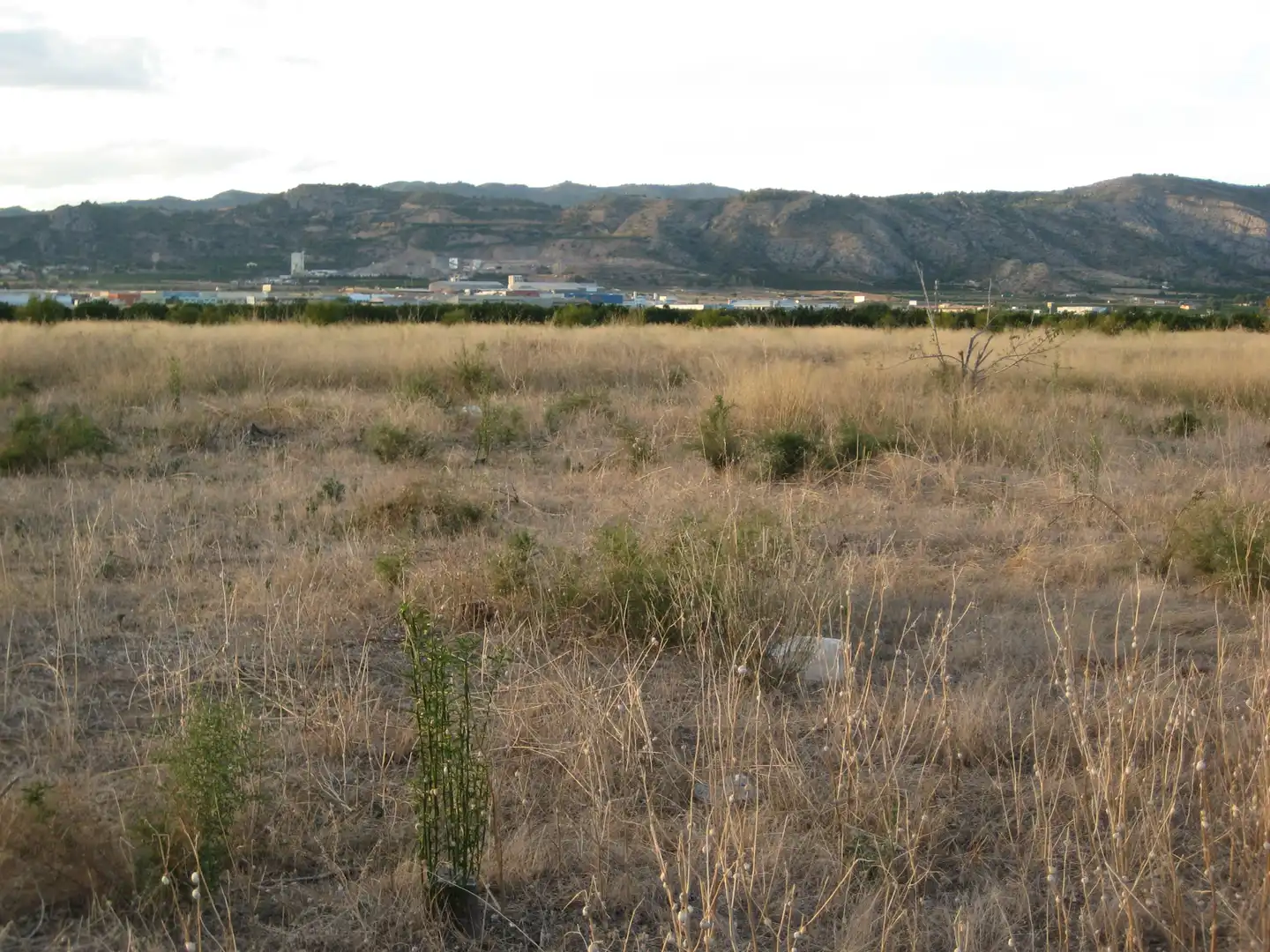 Terreny rústic en venda a Partida Ramell 161, imagen 4