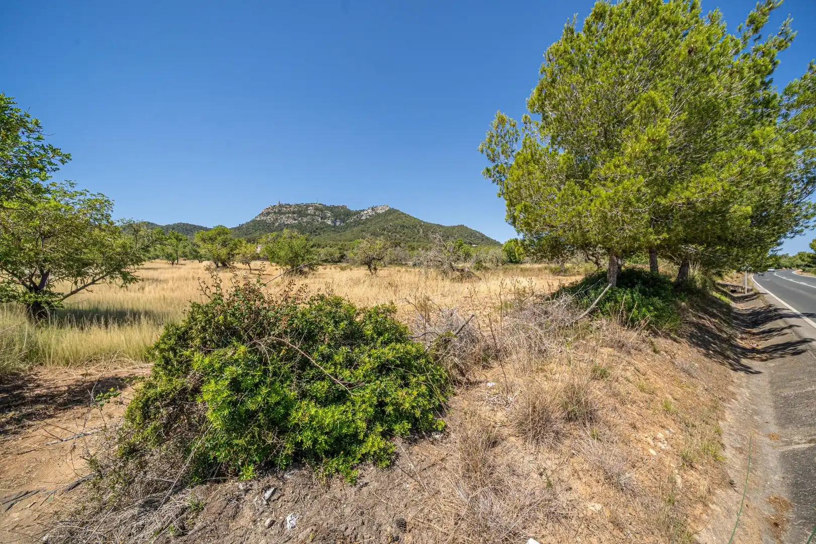 Rural land for sale in Felanitx Poble, imagen 2