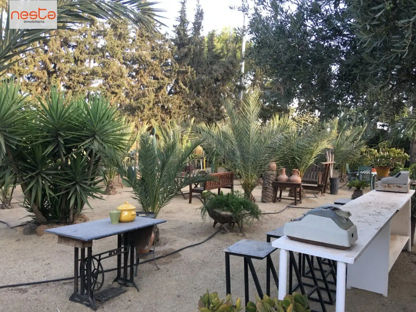 Jardí de Finca rústica en venda en Lorca amb Aire condicionat, Jardí privat i Moblat