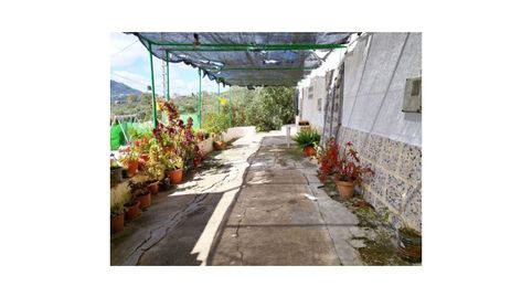 Foto 4 de Finca rústica en venta en Camino del Cementerio, Periana, Málaga