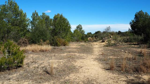Terreno en Venta en Calle Font, 12 en Font de la Teula - Mas de Pavia