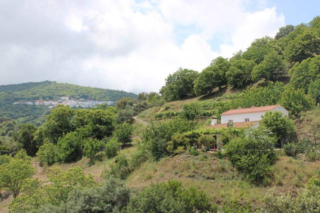 Casa-chalet en Venta en Cartajima, Vale Genal Alto  en Cartajima