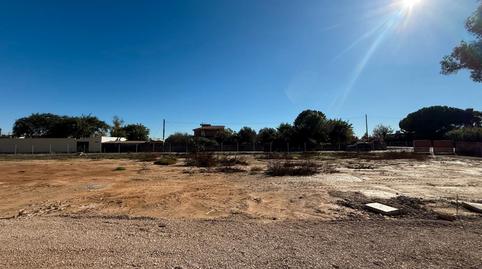 Photo 3 of Land for sale in Caballero Bonald - San José Obrero - Guadalcacín, Jerez de la Frontera