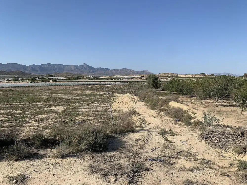 Terreno residencial en venta en Monforte del Cid, imagen 16
