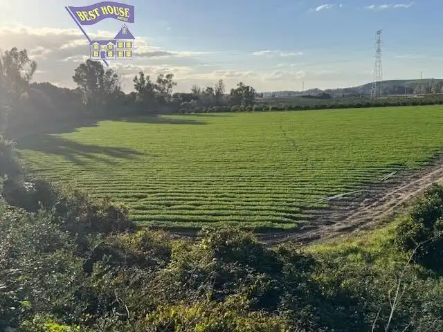 Terreny rústic en venda a Arcos de la Frontera, imagen 5
