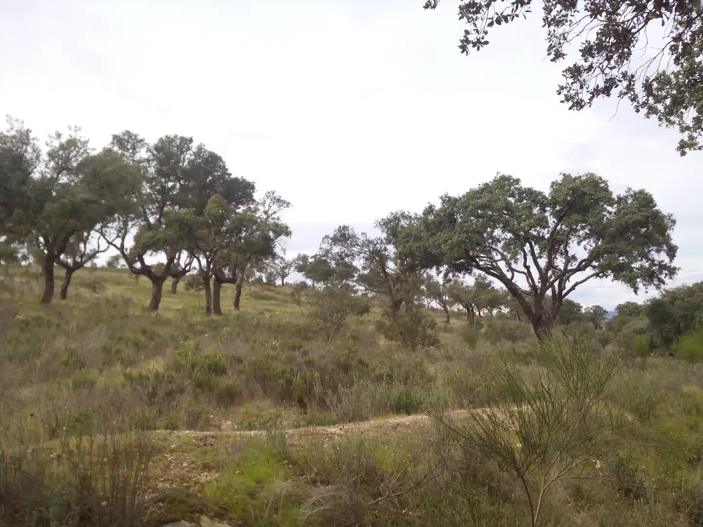 Terreno en venta en Aldea del Fresno