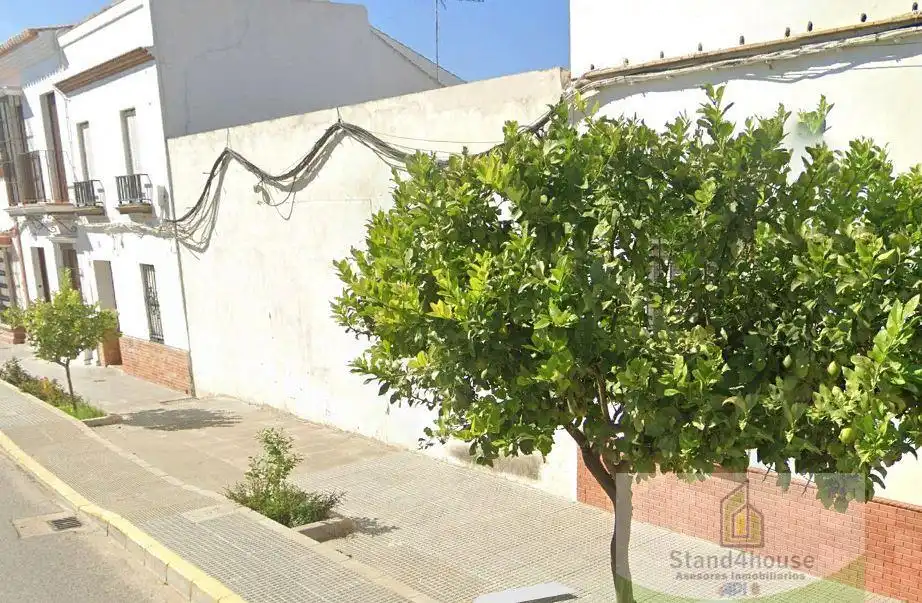 Terreni e lotti in vendita a Villalba del Alcor, imagen 5