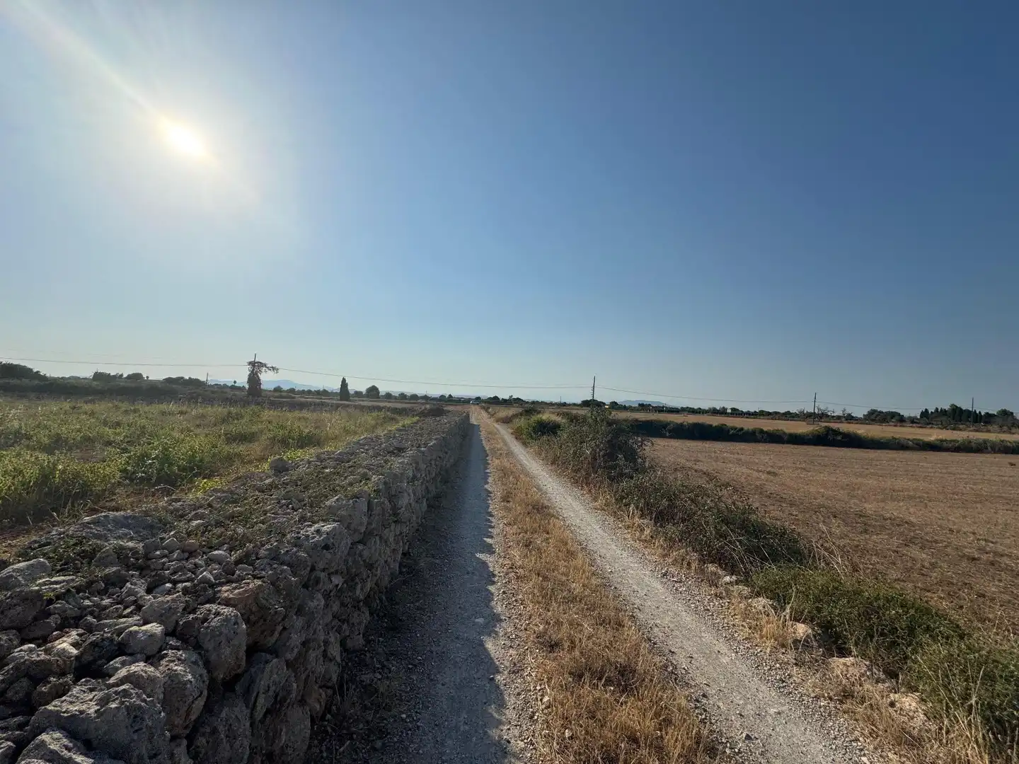 Rural land for sale in M14 Diseminado Primera Volta, imagen 5