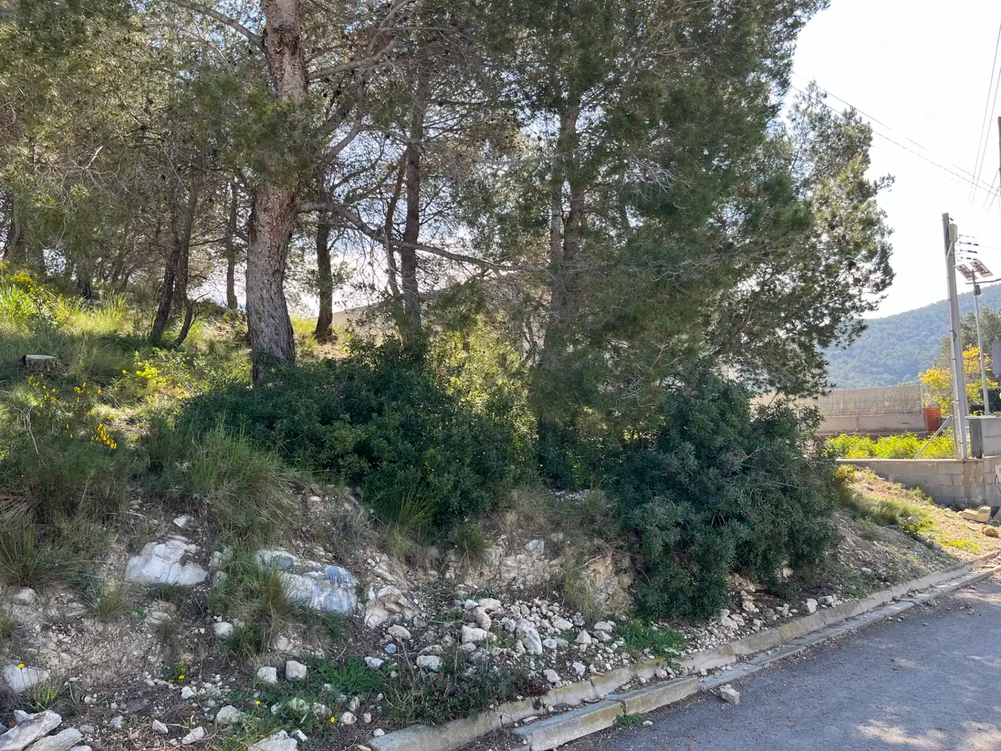 Terreno residencial en venta en Passeig Pins 4, imagen 11