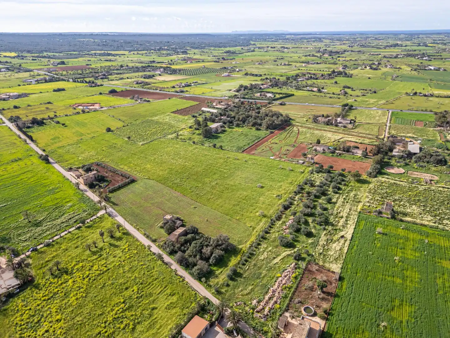 Rustikales Grundstück zum Verkauf in Campos poble, imagen 14
