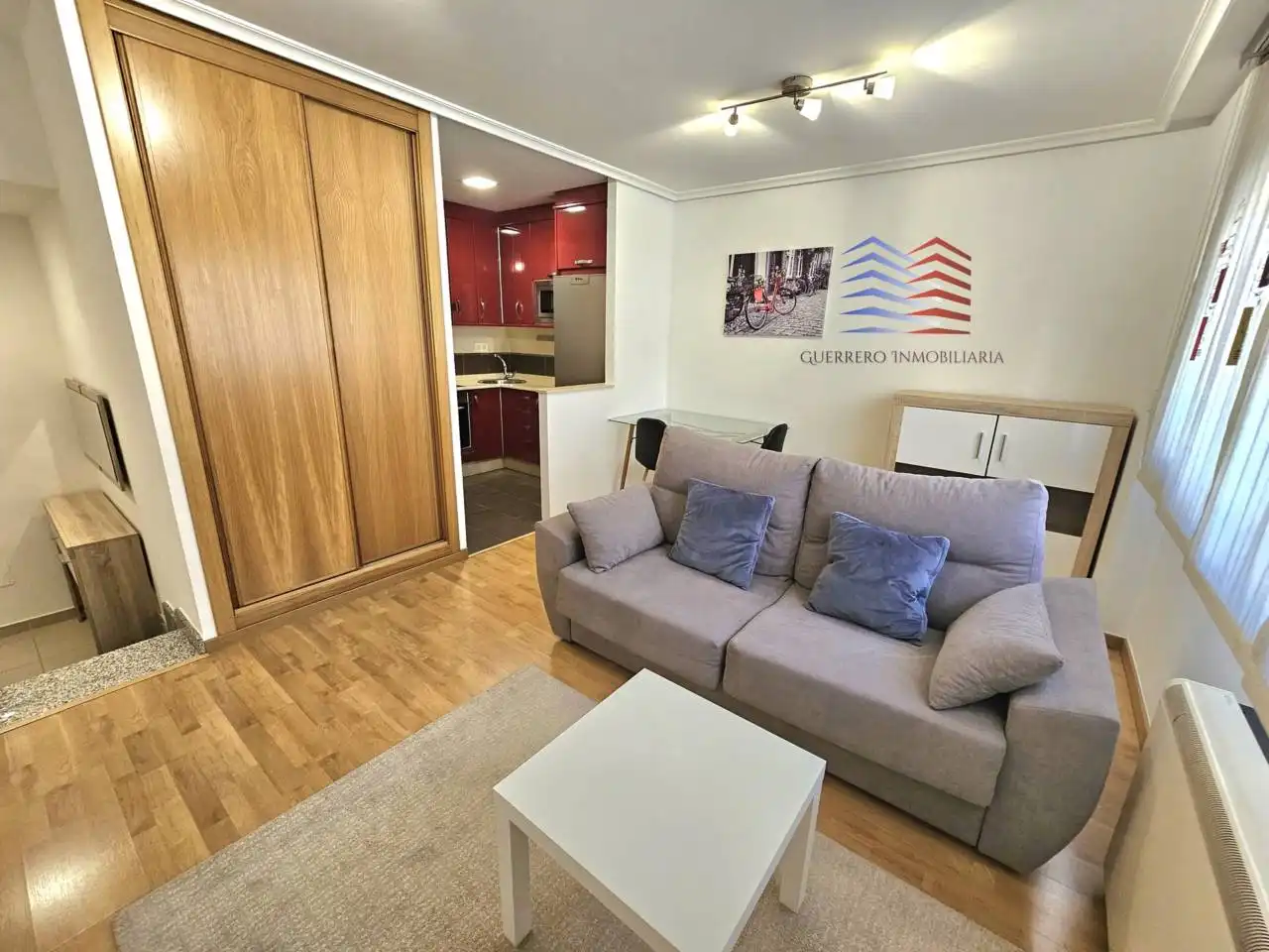 Sala de estar de Estudio de alquiler en Ourense Capital  con Calefacción, Parquet y Trastero