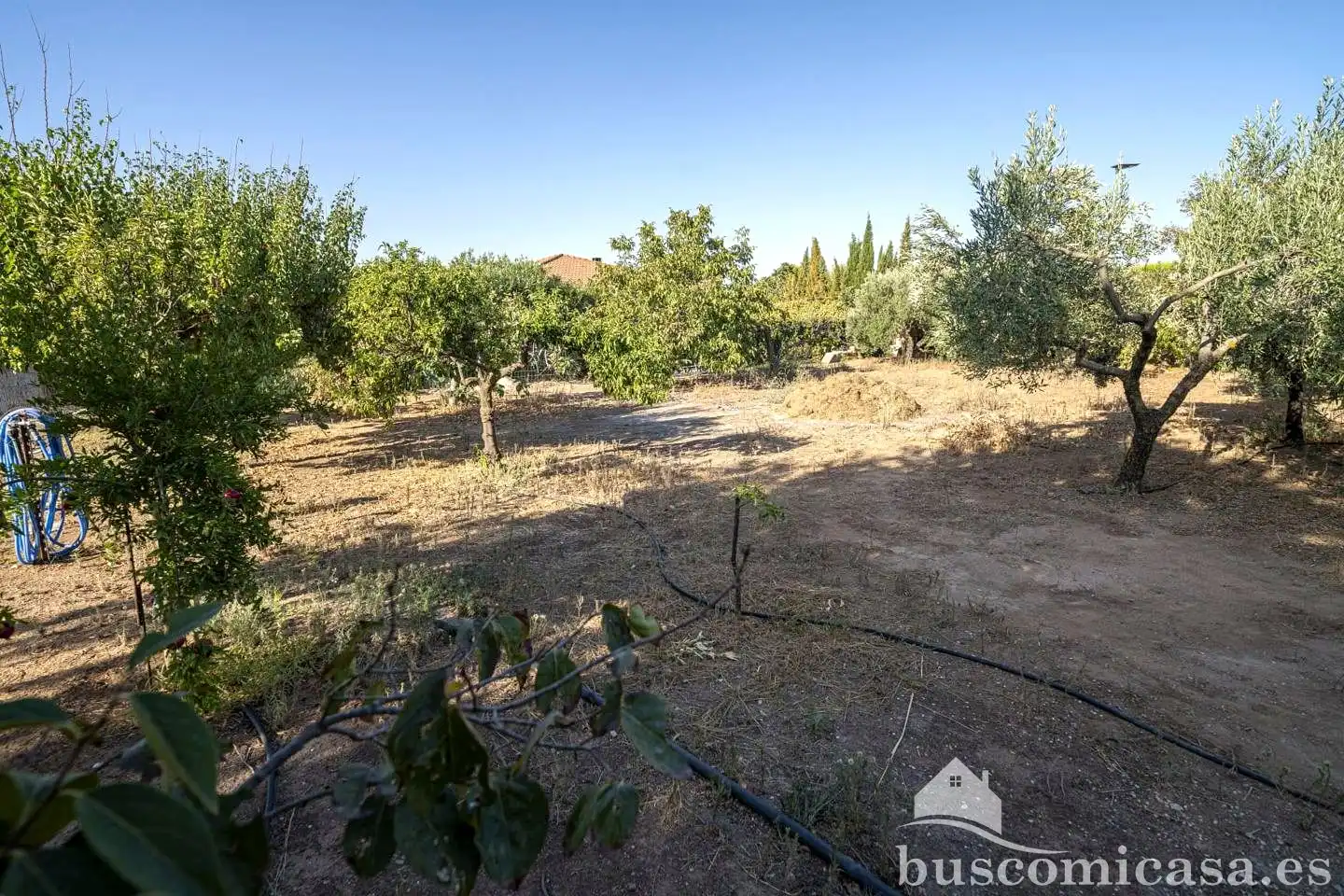 House with pool for sale in Diseminado Huertos San Roque, imagen 24