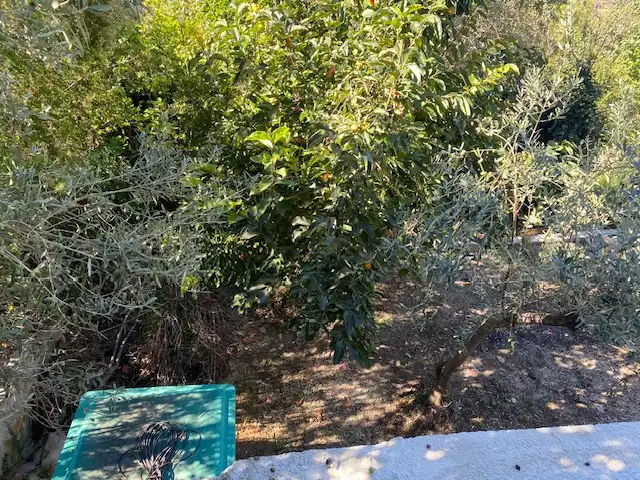 Casa o xalet en venda a Els Hostalets de Pierola