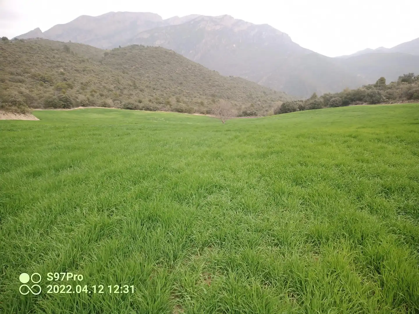 Terreno rustico in vendita a Àger
