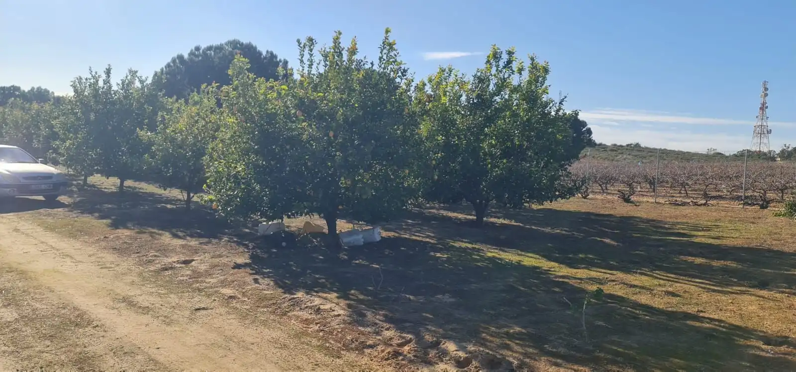 Terreny rústic en venda a Carretera ROCIANA DE CONDADO A VILLARRASA, imagen 4