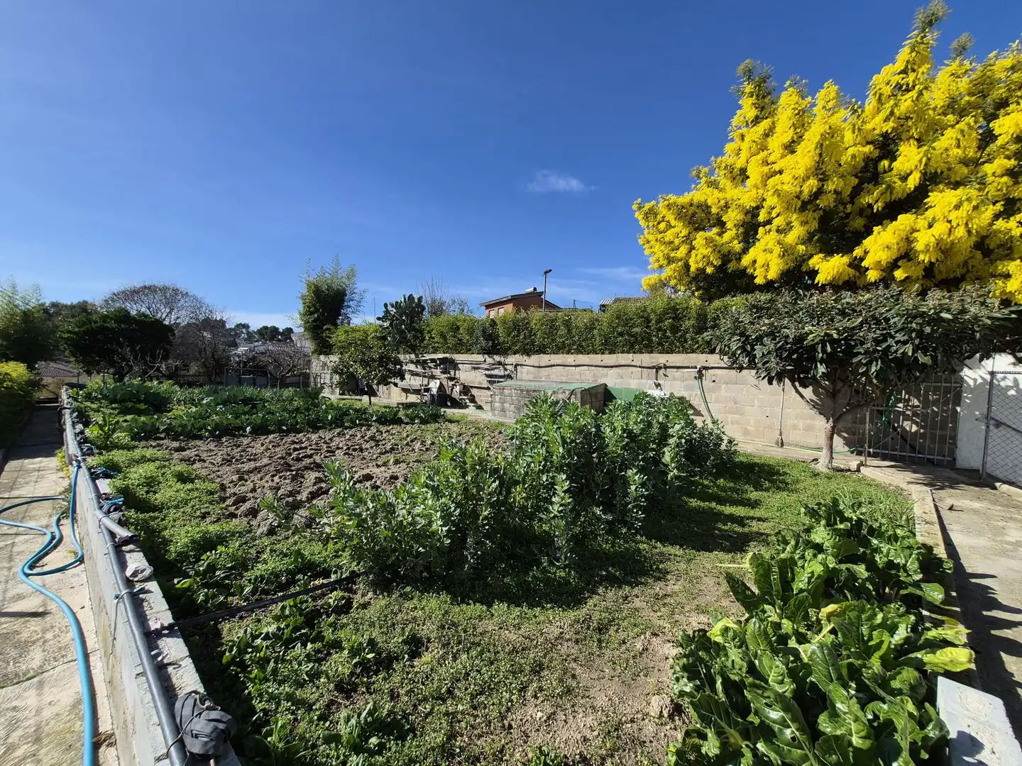 Jardín de Casa o chalet en venta en Lliçà d'Amunt con Calefacción y Jardín privado