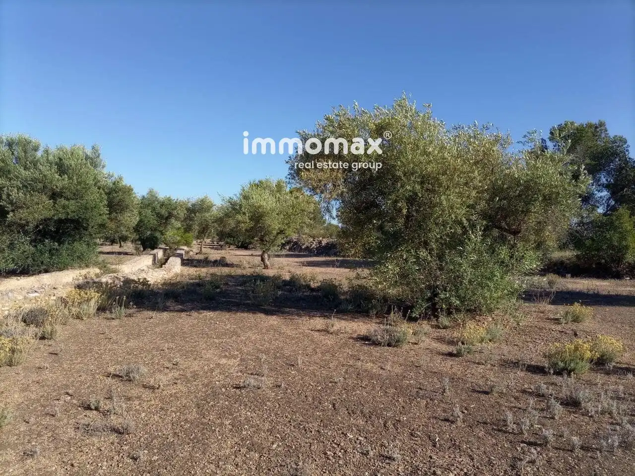 Terrain résidentiel à vendre à 16, imagen 2
