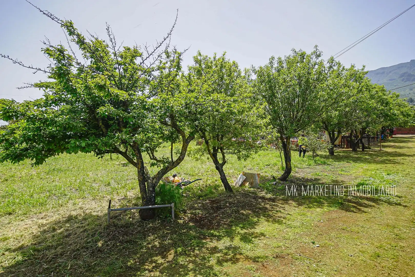 Finca rústica en venda en Valsequillo de Gran Canaria amb Aire condicionat, Terrassa i Piscina