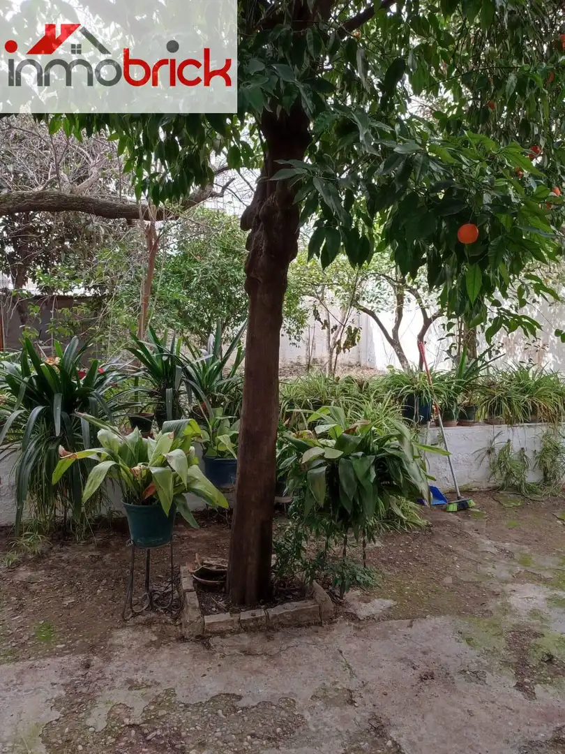 Jardí de Casa o xalet en venda en Lucena