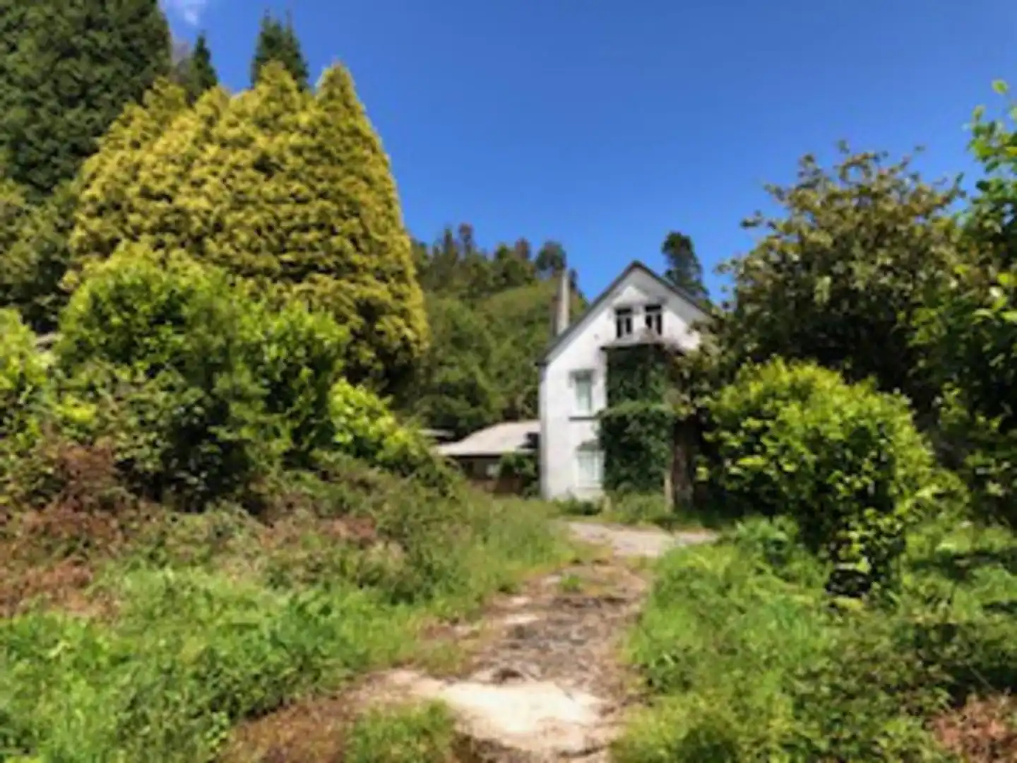 Garden of Country homes for sale in Ortigueira  with Private garden, Terrace and Storage room