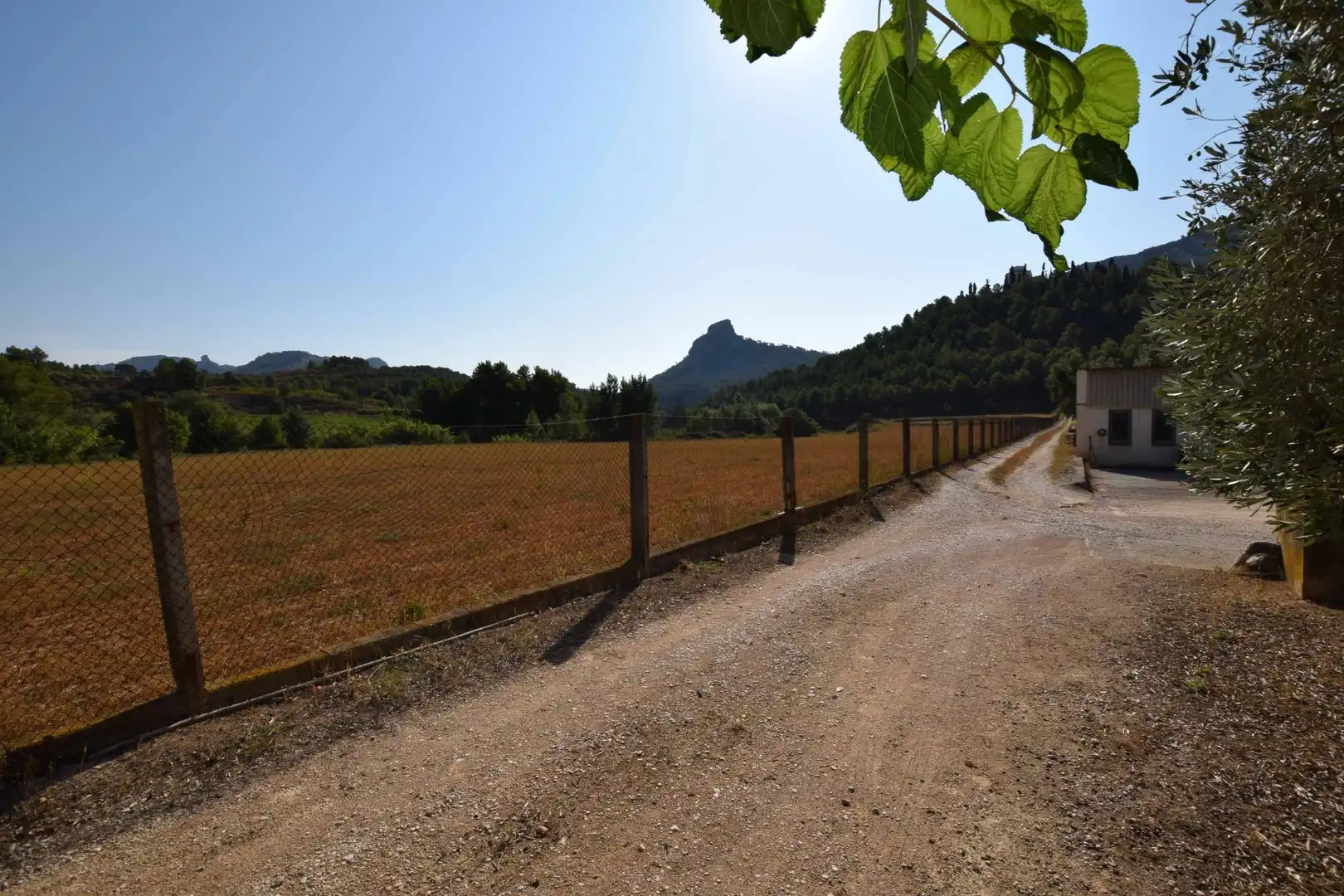 Houses for sale in DISEMINAT, Bot