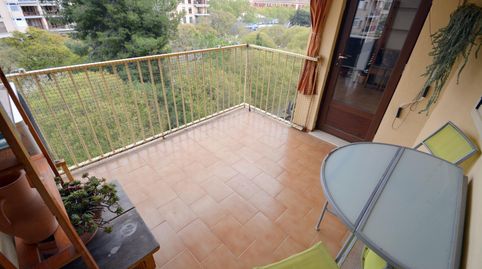 Photo 3 of Flat for rent in Es Camp Redó, Palma de Mallorca