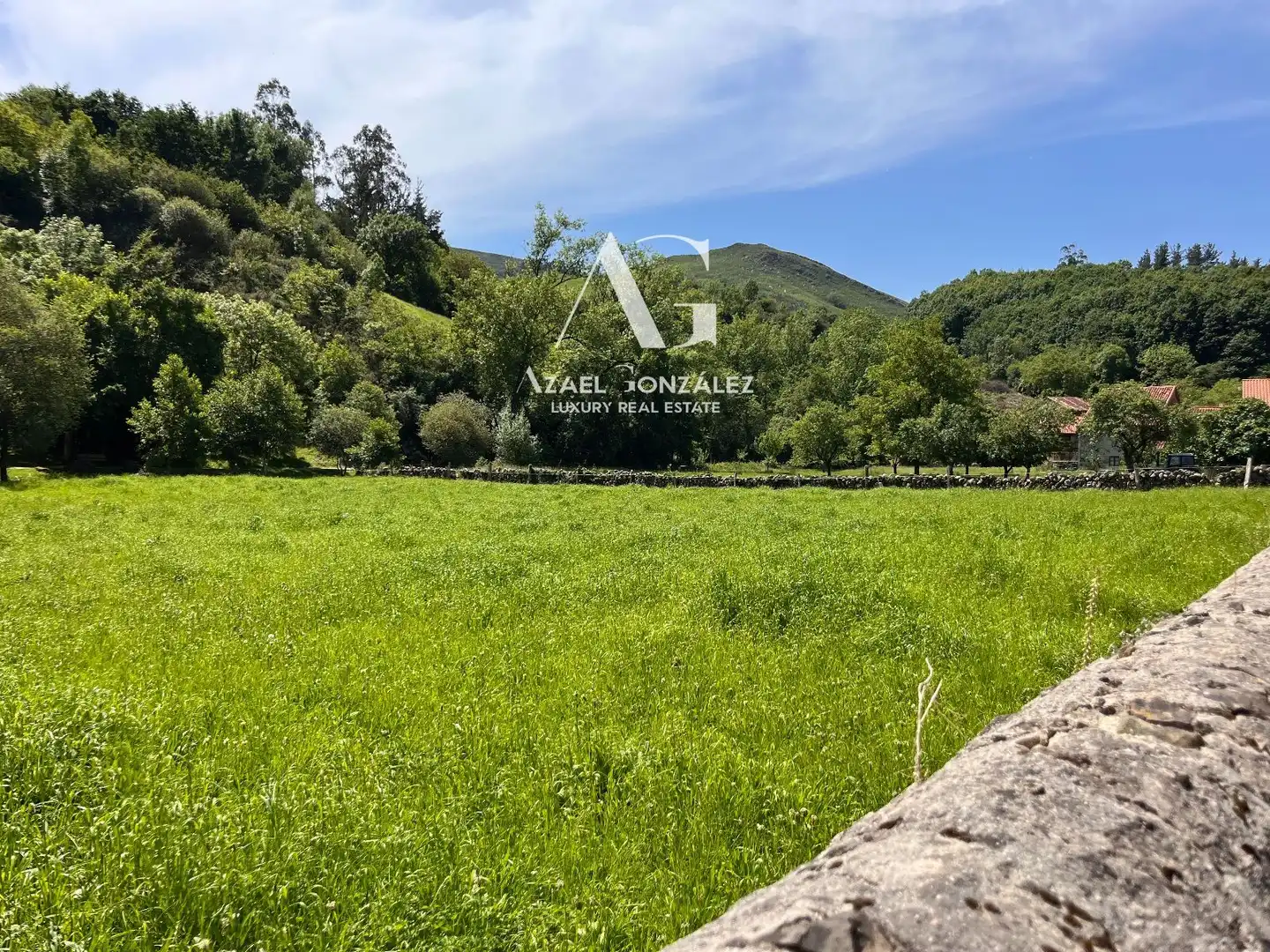 Land for sale in Ruente