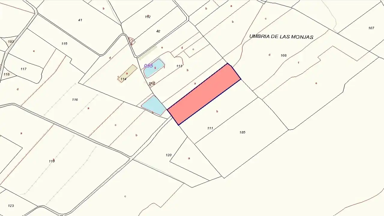 Rustikales Grundstück zum Verkauf in Paraje Carrascalejo, imagen 2
